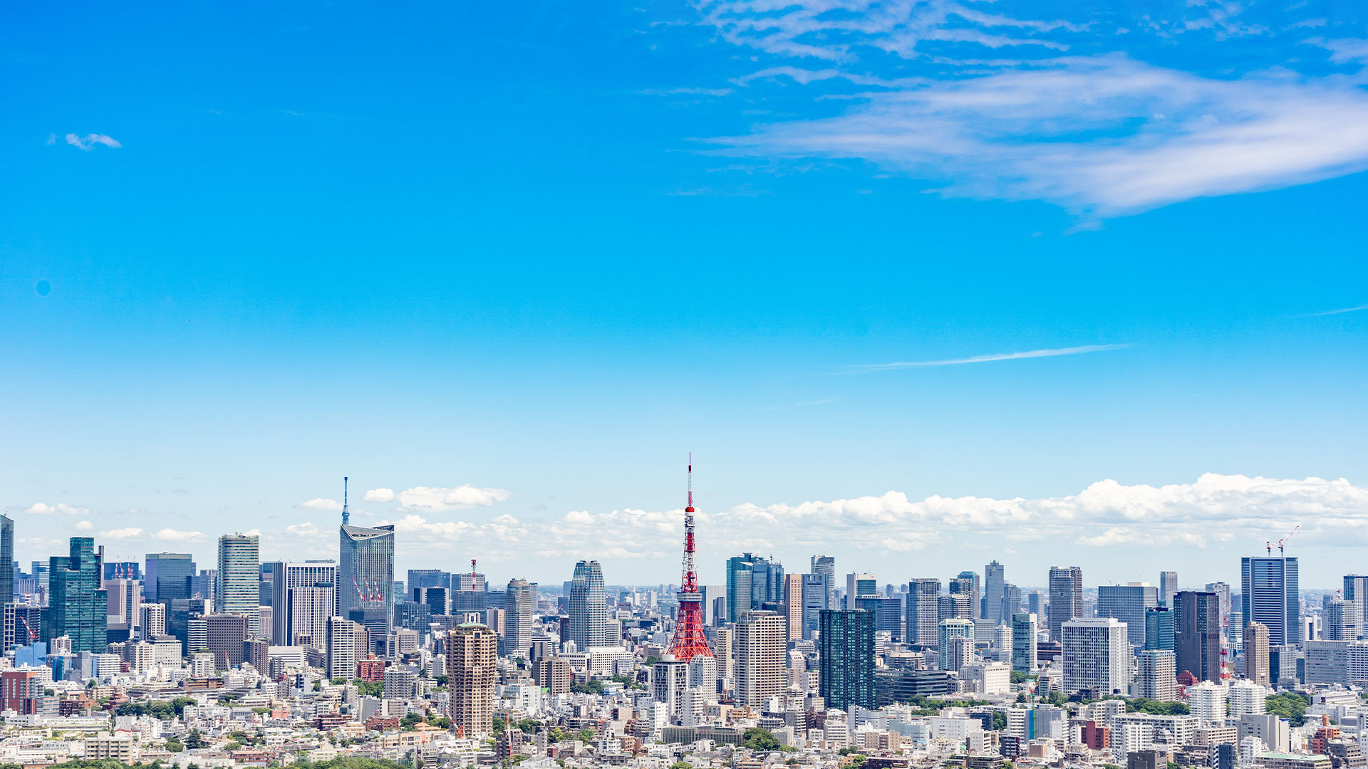 EO Tokyo Central(Entrepreneurs' Organization)